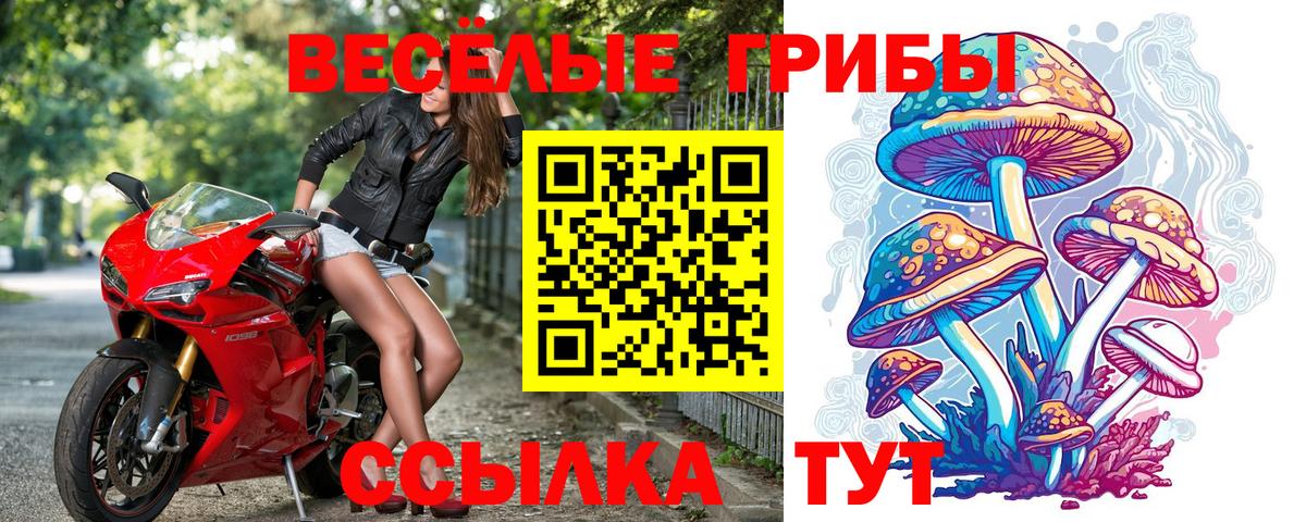 Псилоцибиновые грибы мицелий Жуковский