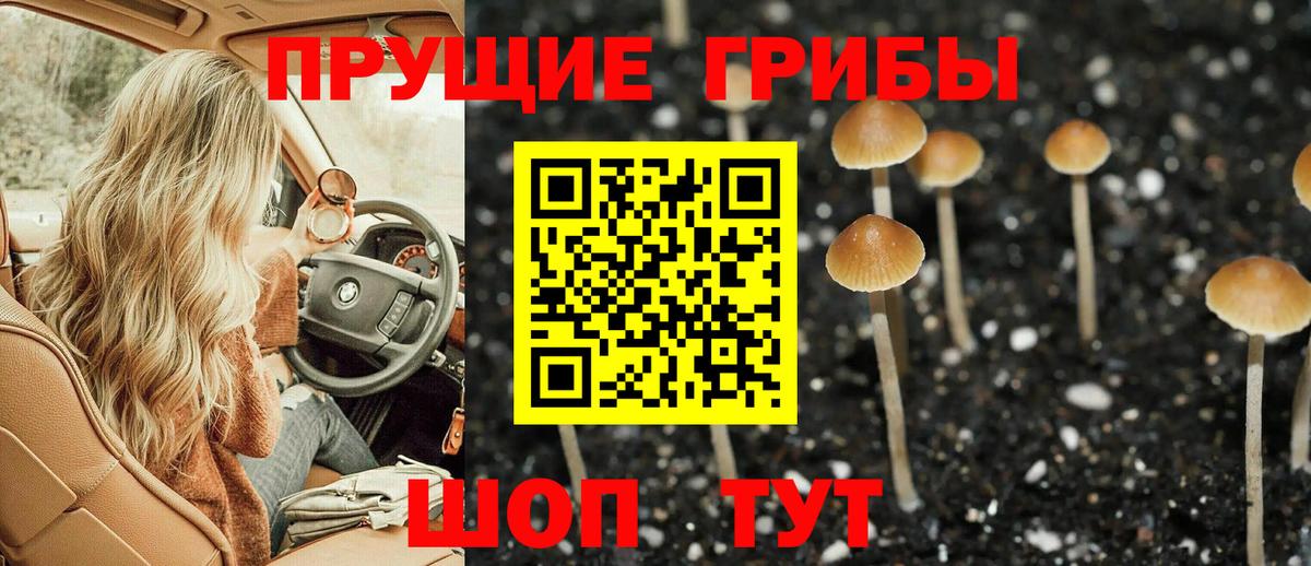 Псилоцибиновые грибы Cubensis  Вход с VPN  Жуковский 
